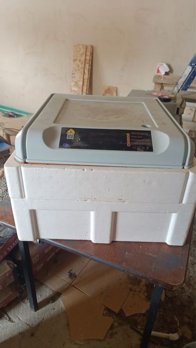 Инкубатор для яиц