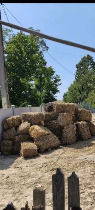 Vând baloți paie Stejari