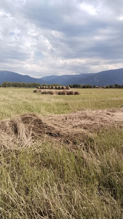 Продам или поменяю