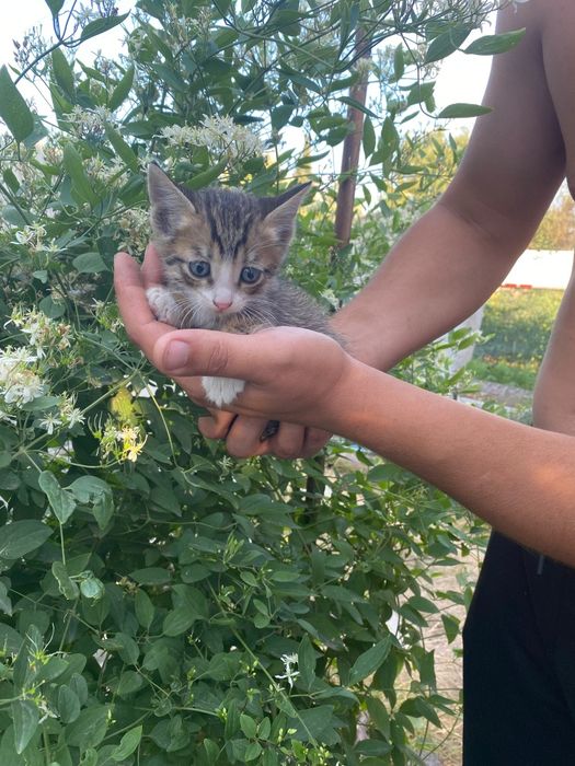 Срочно в самые ответственные руки