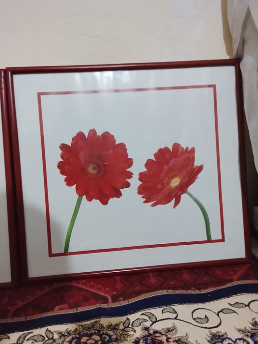 Картинка с большим размером,можно повесить на стену куда угодно