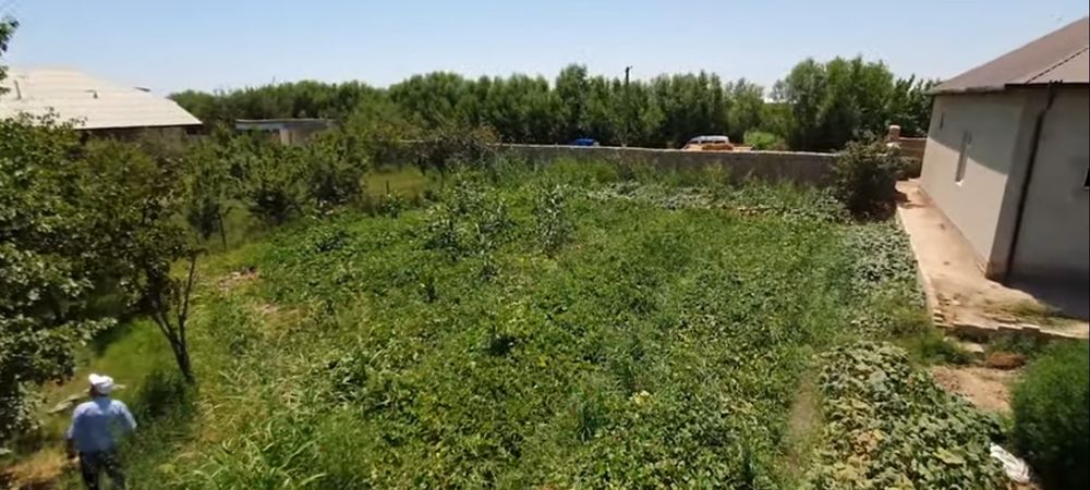 Земля жой урни сотилоди хива туман ок ёп томондо документы теёр