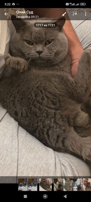 Зотлий Мушук! эрка ва аёл 2 таси 160$