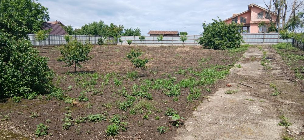 Teren și construcții