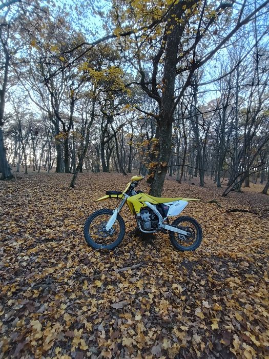 SUZUKI RMZ 250 2008