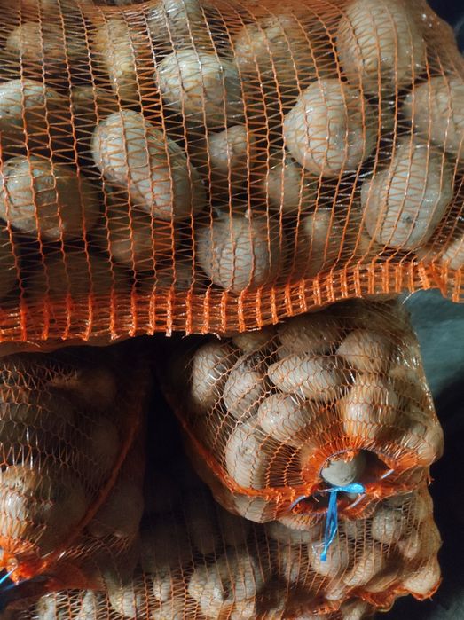 Cartofii de Făgăraș albi și roși ieftini și buni