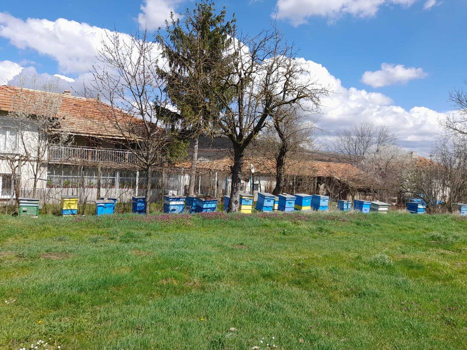 Продавам кошери ДБ с пчелни семейства 10 и 12 рамкови