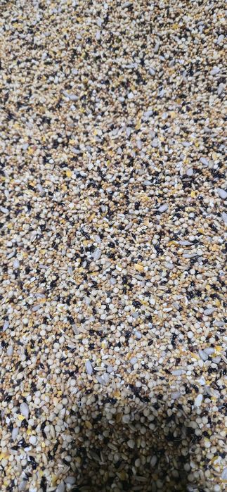 Корма и витамины для бедана