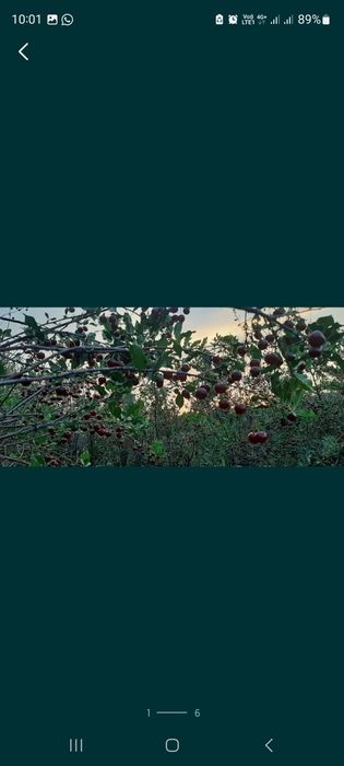 Дача в до Алма (Строитель)