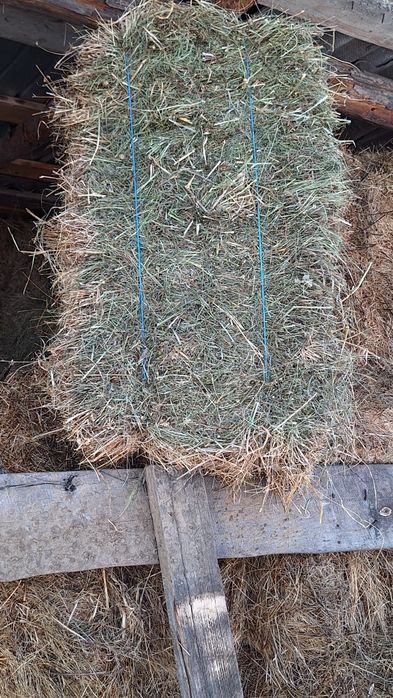 Baloti fân și otava