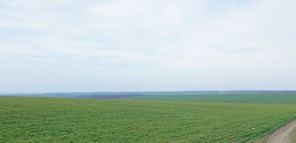 Продава се Земеделски имот в София, Люлин 1 -  кв.м за 509 €/дка - Снимка #5