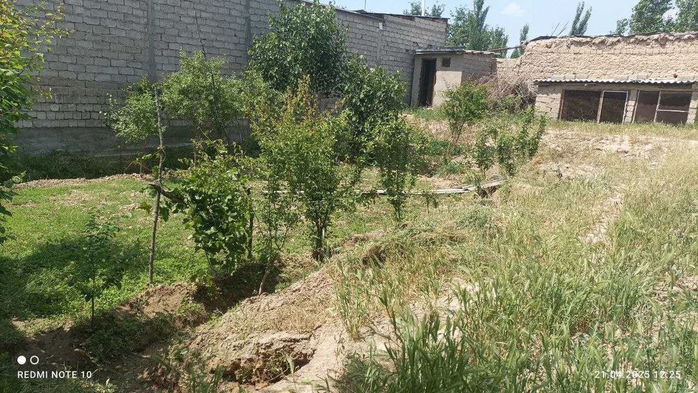 Қарши шахар Арал овул махалласи Тутак кучаси 7 Б-уй