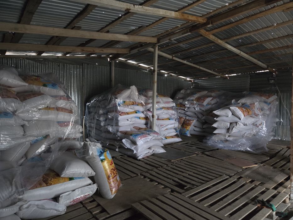 Пшеница, ячмень, овес