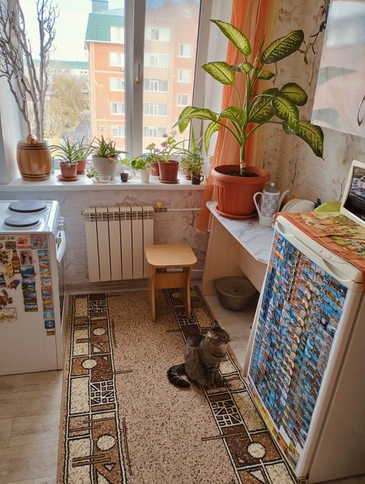 Меняю малосемейку