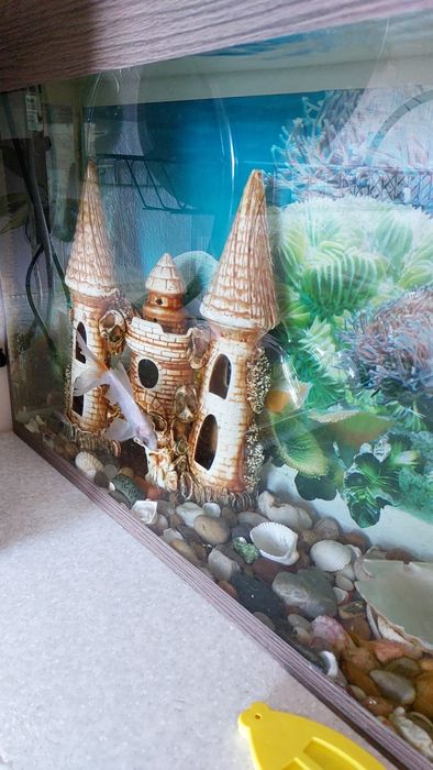 Аквариум в комплекте