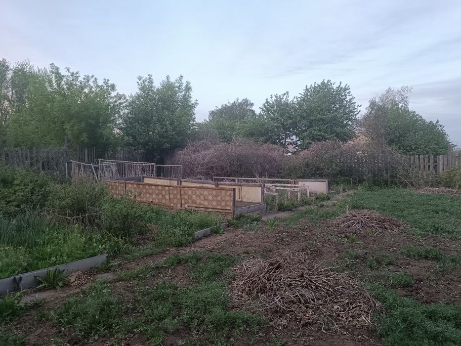 Дачный участок. Общество "Ромашка"