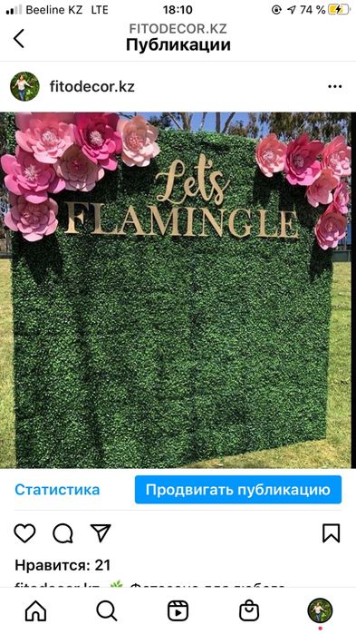 Фотозона и зелень для ее изготовления