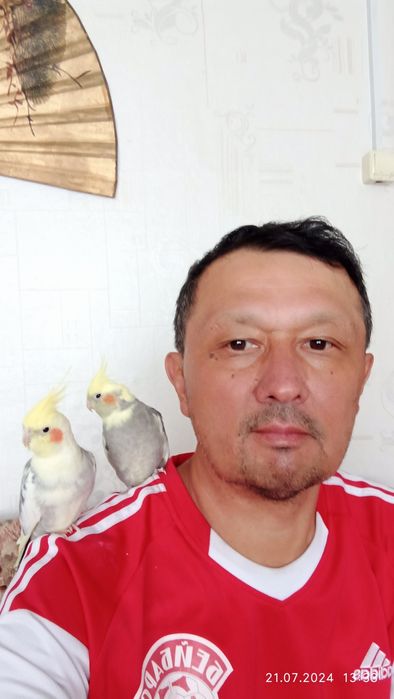 кареллы пара продам