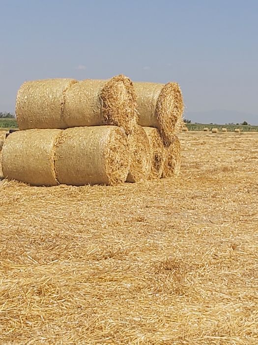 Продавам бали сено и чиста люцерна