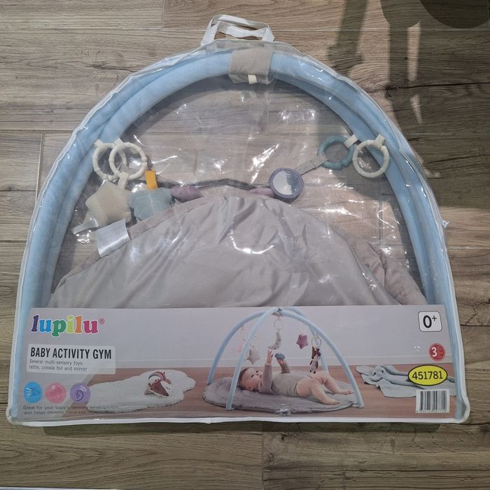 Salteluta activitati Lupilu