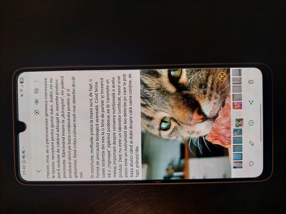 Samsung Galaxy A33 5G