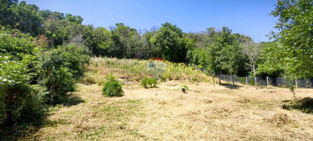 Продава се Парцел в к.к. Златни пясъци - 901 кв.м за 17 €/кв.м - Снимка #2