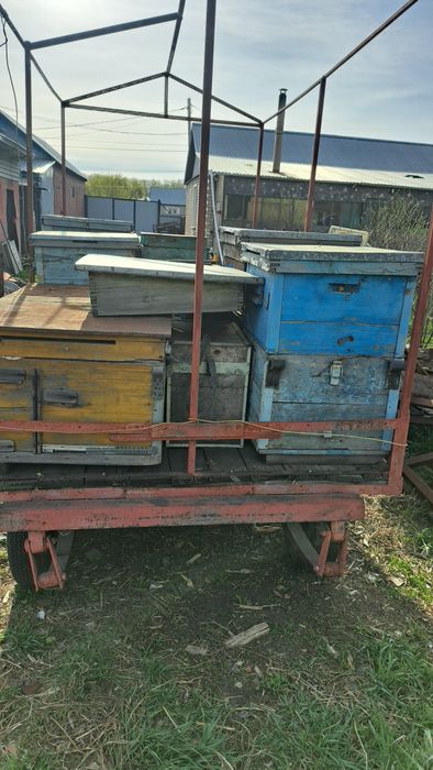 Продам прицеп для перевозки уликов.