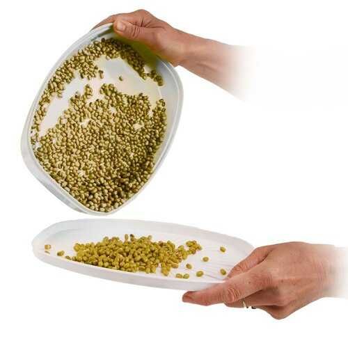 Tavita de germinat seminte si microplante