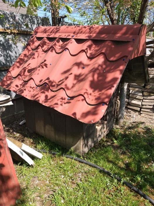 Căsuța pentru câini (animalute de companie)