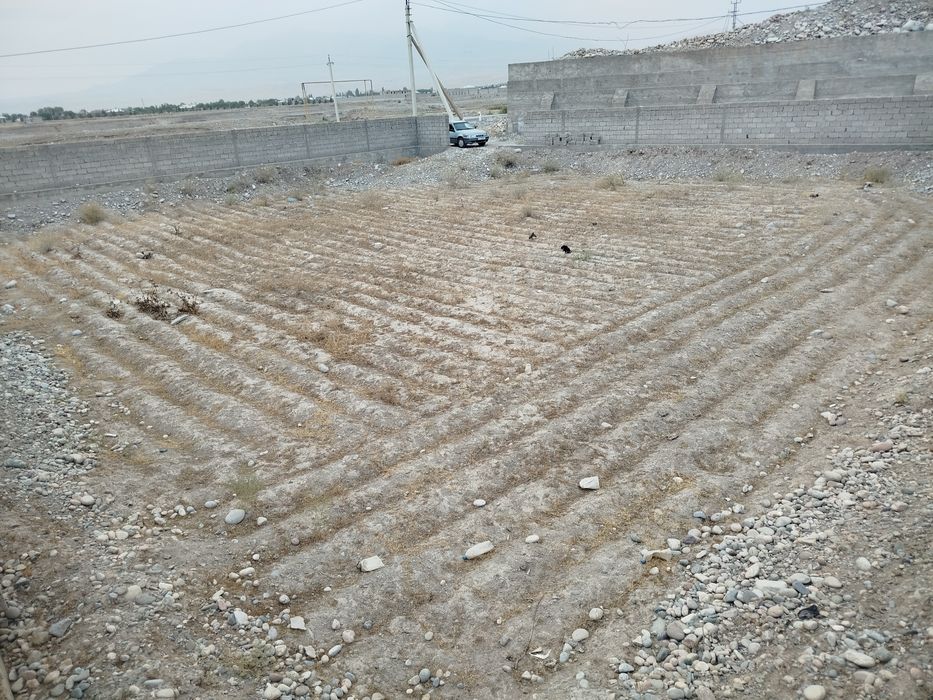 Yer maydoni 10 sotix