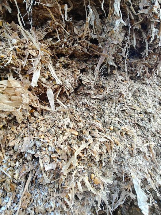 Siloz de porumb 2025