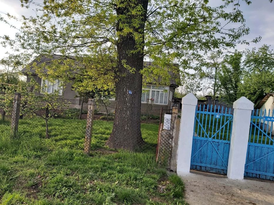 Casă + teren 2300 mp, sat Corni-Albești, Vaslui
