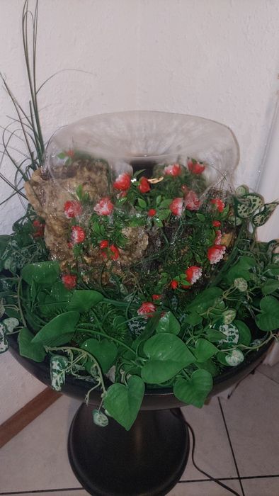 Шадраван - Фонтан