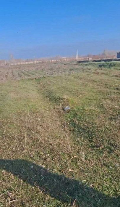 N.12895  Ер  майдони Чорвачилик бизнеси учун!