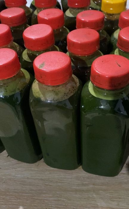 Майский лопух сок Шымкент