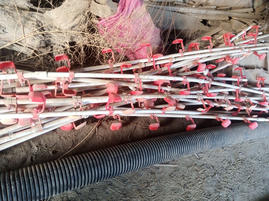 Tovuq boqish uchun uskunalar