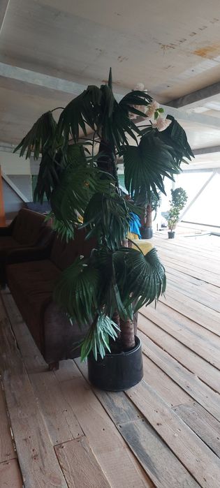 Искусственные деревья, декоративные деревья