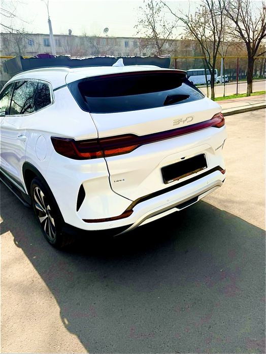 Byd song plus chempion Gibrit