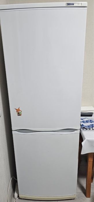 Холодильник с морозильной камерой