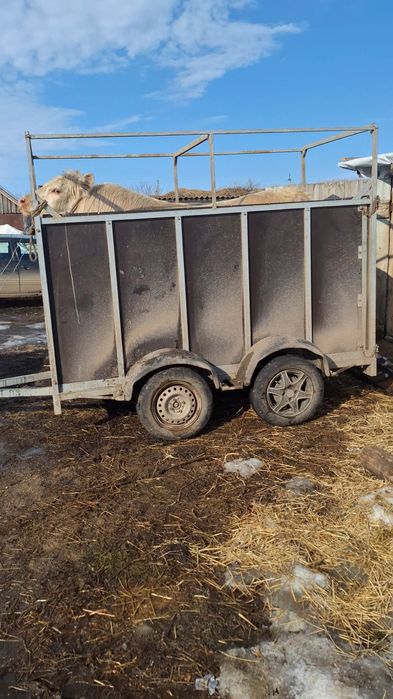 Продам коневоз на 2головы