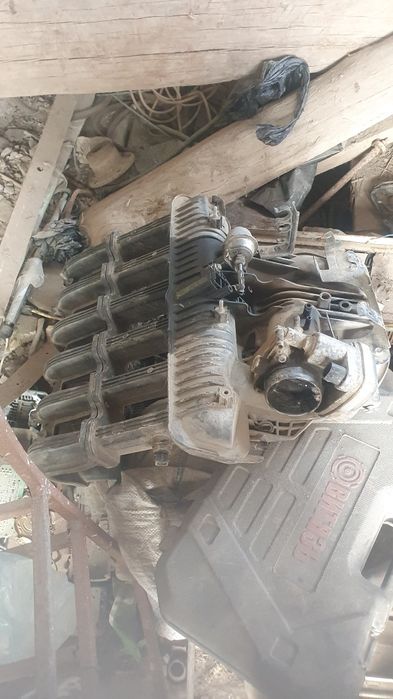 Epica zaslonka va go‘rla