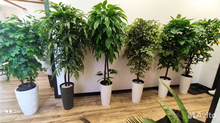 Искуственные деревья