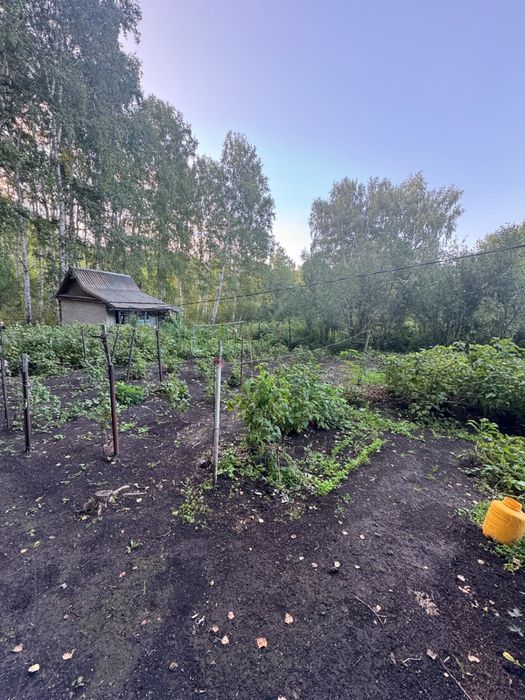Продам дачный участок