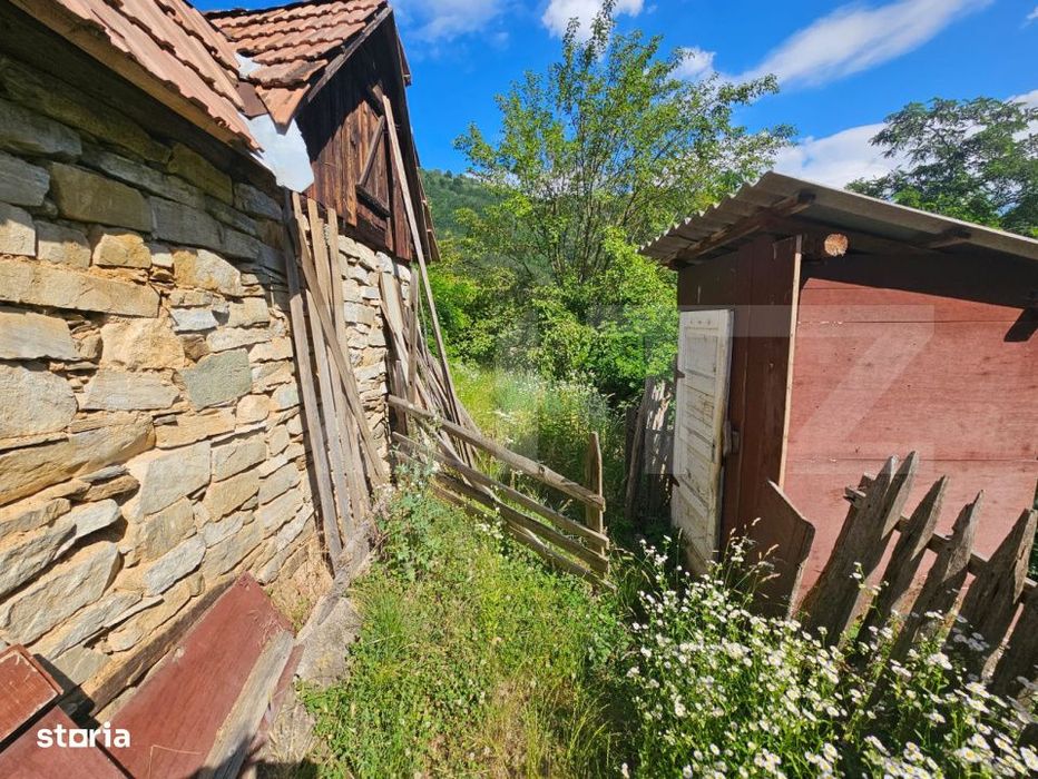 Casa traditionala - o investitie cu potential de dezvoltare, Capalna,