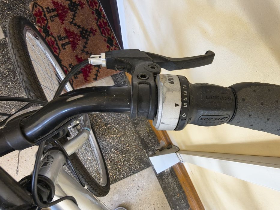 Bicicleta dama de oras (28 inchi)