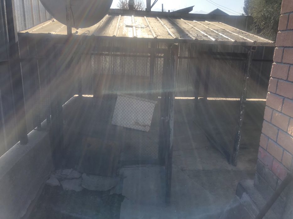 Собачья будка и Вольер для собак