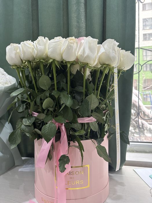 Продаю цветы 55шт