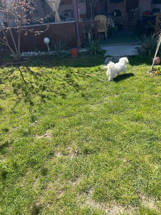 Vand Casa + Spatiu Comercial