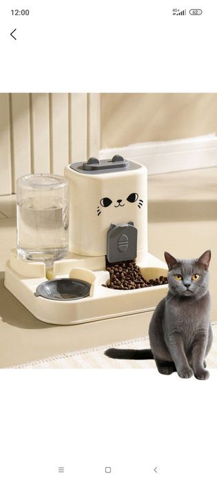 Mushuk videoda ovqat