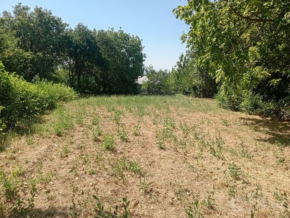 Продажа земли для дачи